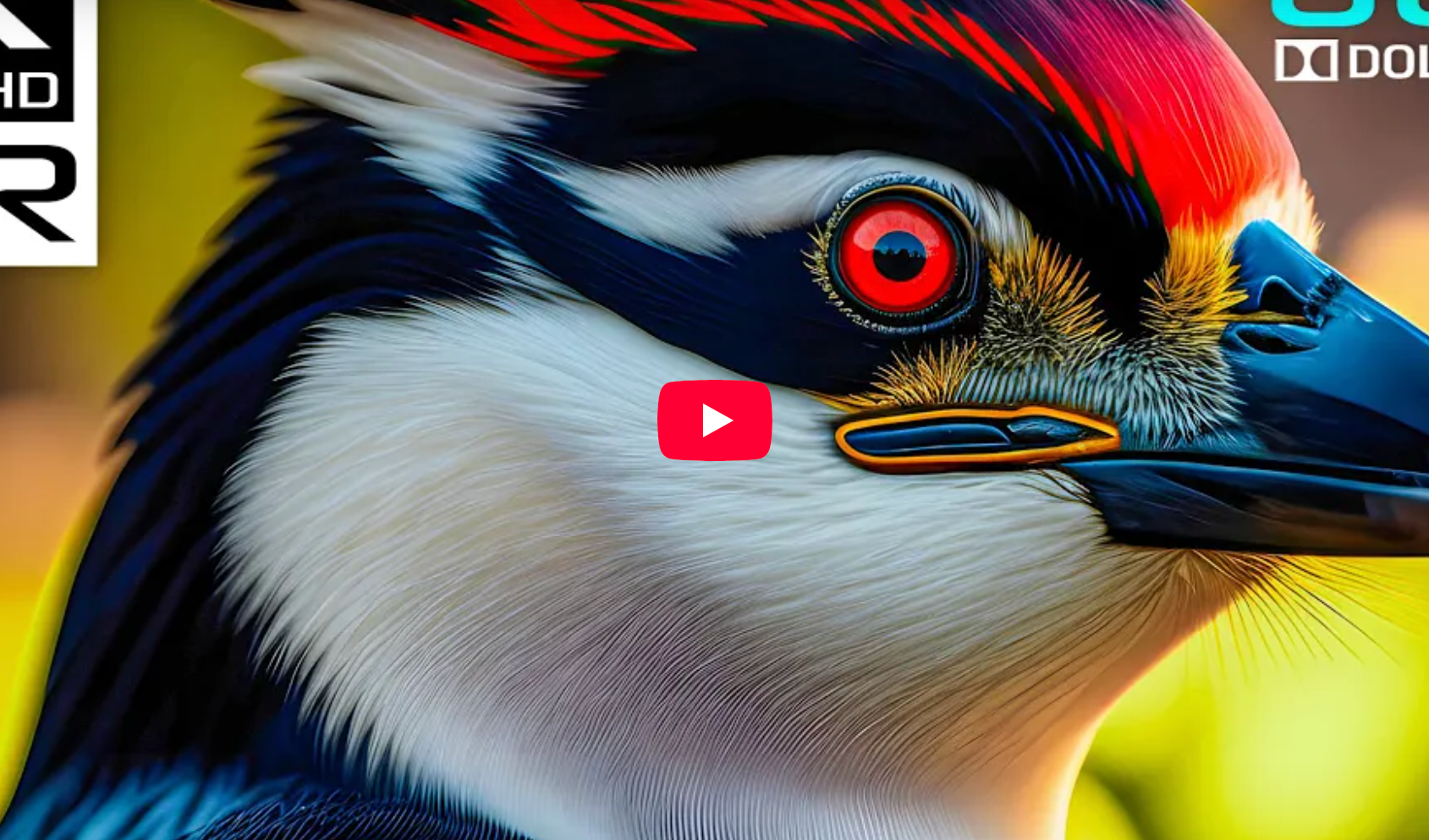 Vídeos cinematográficos incríveis em 4K com música para dormir | 4K HDR Dolby Vision a 60 fps