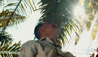 Palma sustentável fortalece agricultura familiar e preserva solo na Amazônia