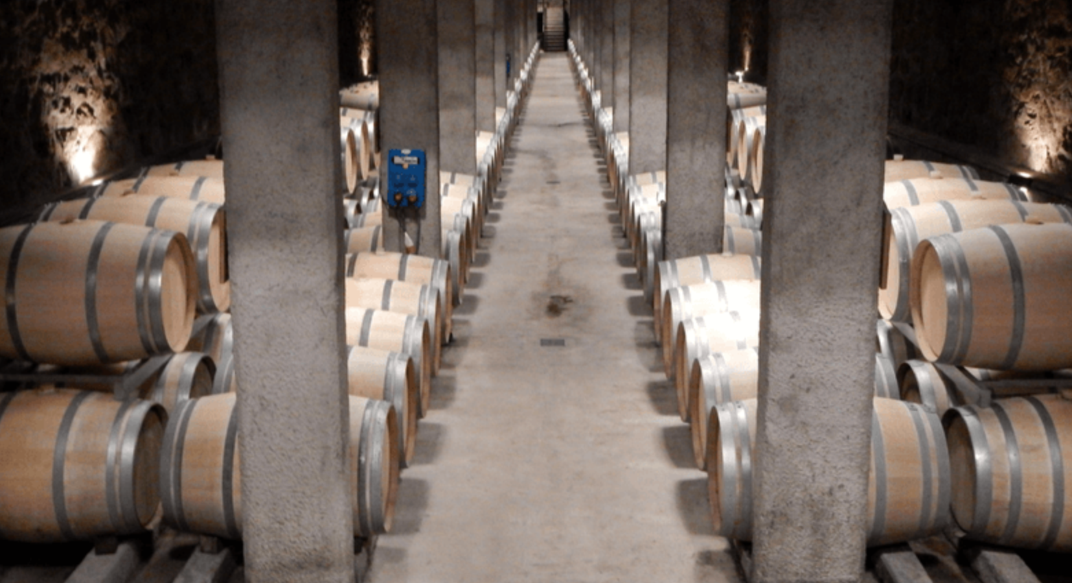 Degustação na Bodega Benegas em Mendoza