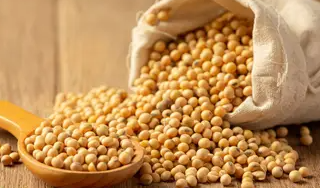 Soja e trigo: confira as cotações de preço para esta segunda-feira (29)